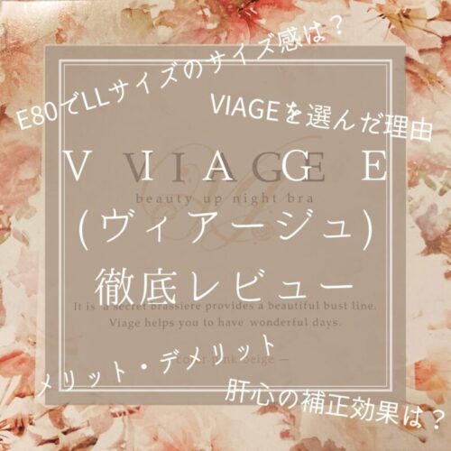 VIAGE(ヴィアージュ)徹底レビュー。E80でLLサイズのサイズ感、選んだ理由、メリット・デメリット、補正効果についてまとめたアイキャッチ画像