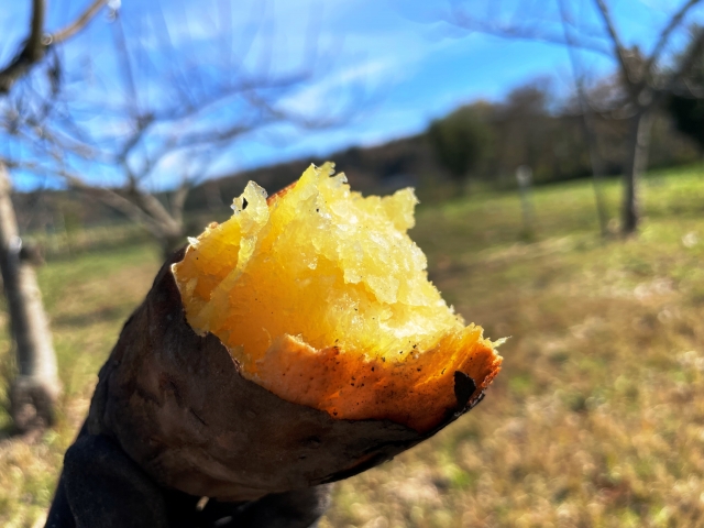 ねっとり食感に仕上げる火加減のポイント